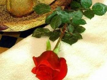Dalia Riad